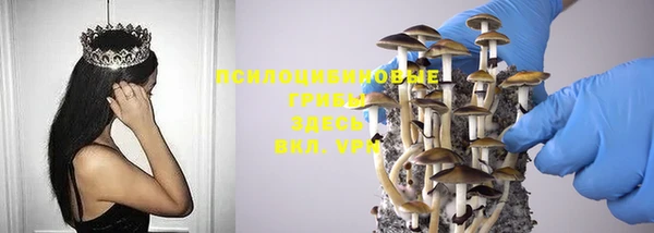 Альфа ПВП Нязепетровск