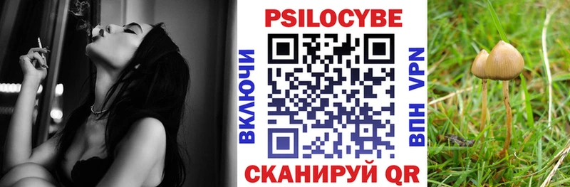цены   shop как зайти  Галлюциногенные грибы мицелий  Улан-Удэ 